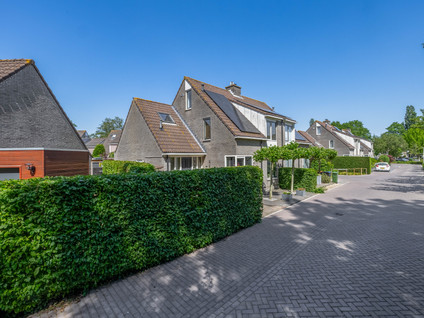 Roosje Voshoeve 49