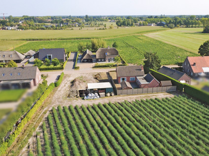 Kattenbos 8