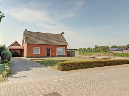 Kattenbos 8
