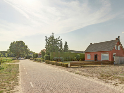 Kattenbos 8