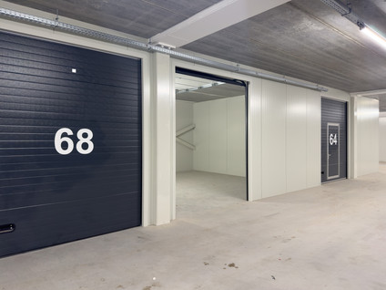 Steur 66