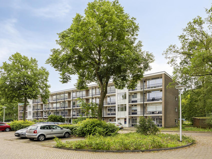 De Reiger 193
