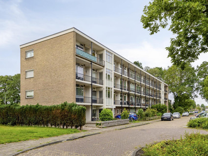 De Reiger 193