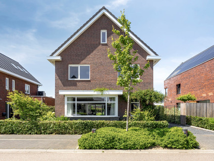 Sleutelbloem 22