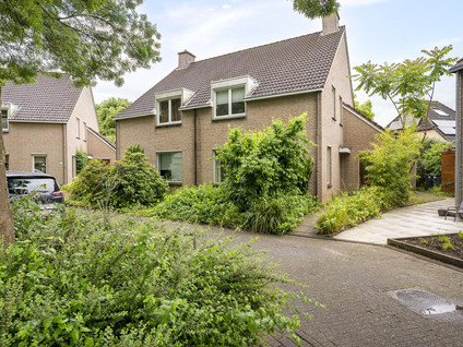 Wassenbergstraat 25