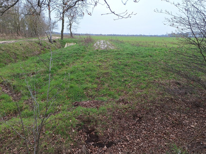 Kokmeeuwenweg Ong