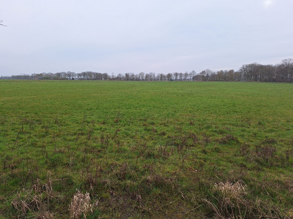 Kokmeeuwenweg Ong
