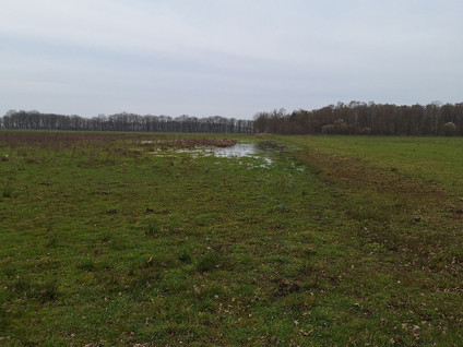 Kokmeeuwenweg Ong