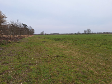 Kokmeeuwenweg Ong