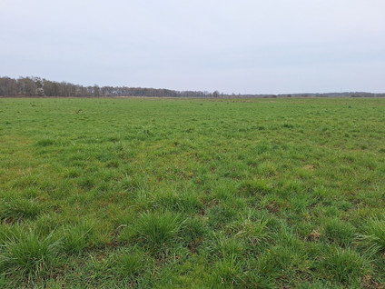 Kokmeeuwenweg Ong