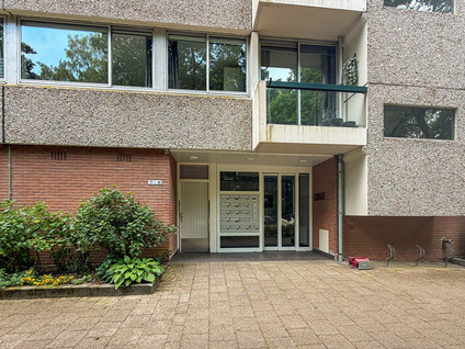 De Zalmen 74