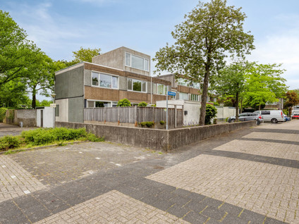Haagbeemd 14