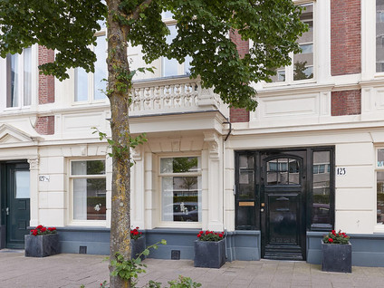 Bezuidenhoutseweg 123