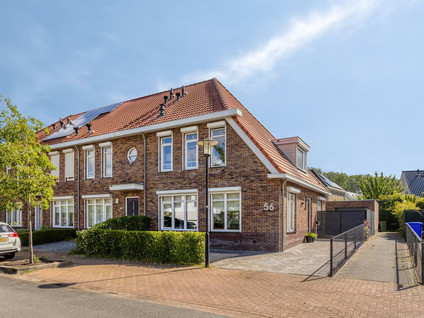 Tapijtschelp 56