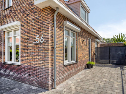 Tapijtschelp 56
