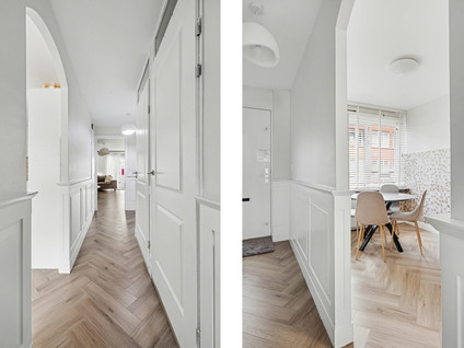 Ferdinand Bolstraat 113