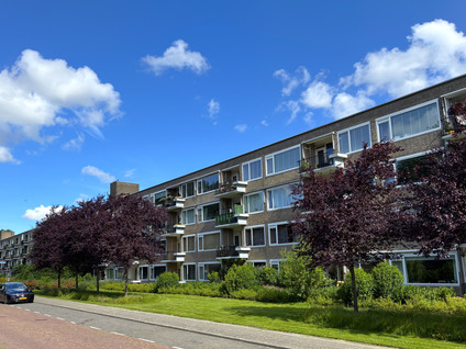 Pruimenlaan 94
