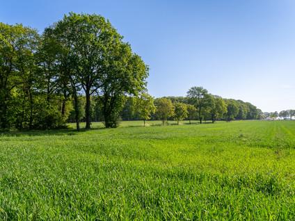 Scharlebeltweg 12