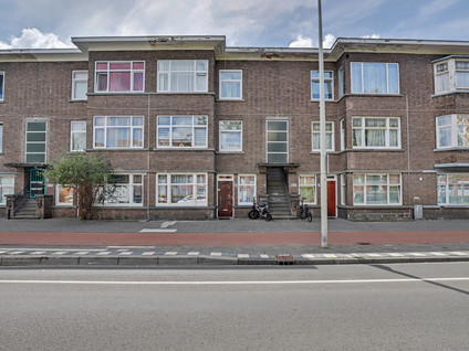 De La Reyweg 685