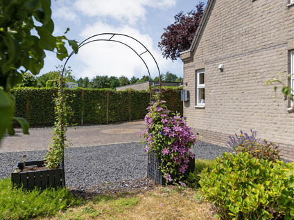 Zomer 62
