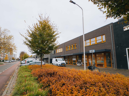 Pisanostraat 55
