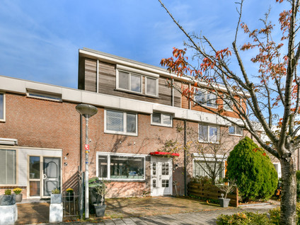 Terneuzenstraat 8