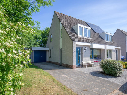 Paelwerck 51