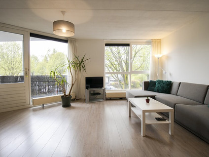 Blankenbergestraat 17