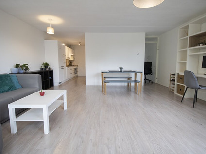 Blankenbergestraat 17