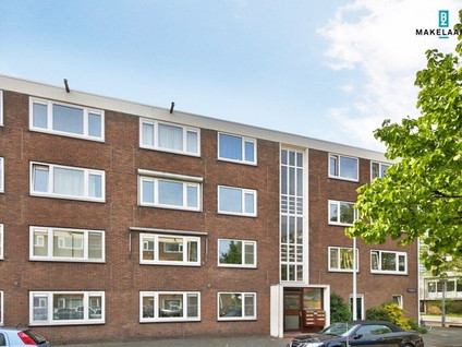 Wedderborg 12
