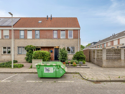 Grauwe Gans 42