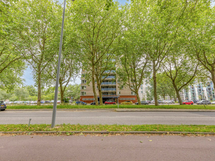 Prinsenlaan 238