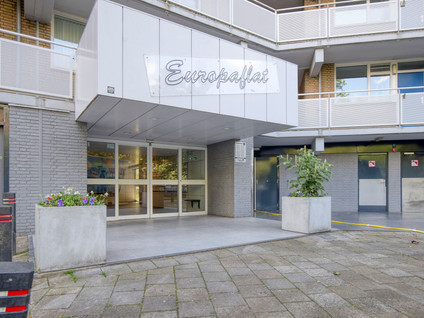 Griegplein 85
