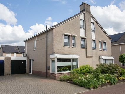 Wintergroen 13