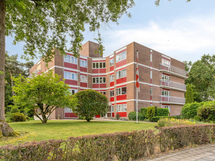 Konijnenberg 52