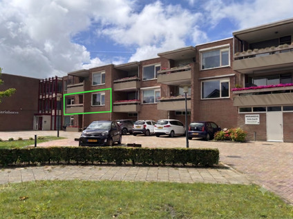Grote Beer 8 022