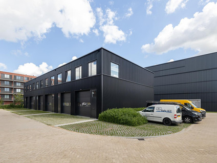 Steur 8