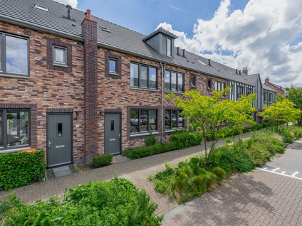 Meerval 19