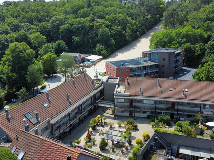 Roode Leeuw 6