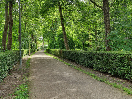 Oudelandsedijk 15