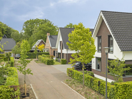 Meelzolder 41