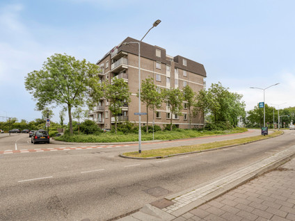 Van Laerstraat 62