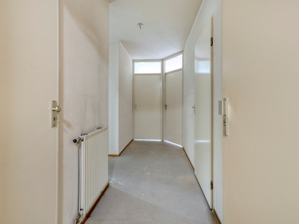 Van Laerstraat 62