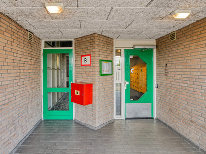 Van Laerstraat 102