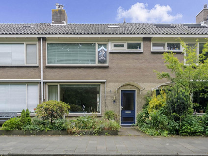 van Wassenaarstraat 20