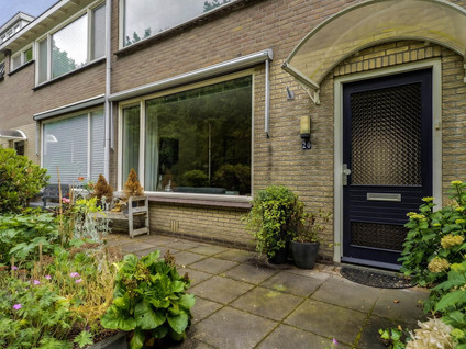 van Wassenaarstraat 20