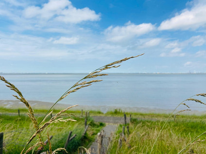 Hogeweg 1