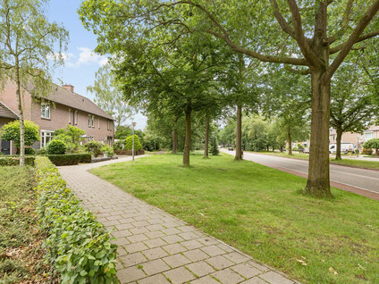 Schepenhoek 317
