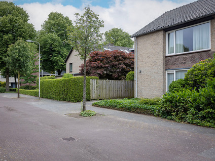 Aalbersestraat 51