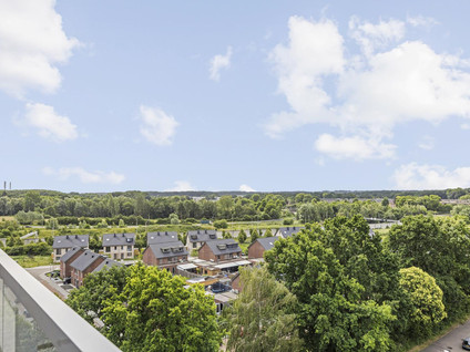 Mozartstraat 300